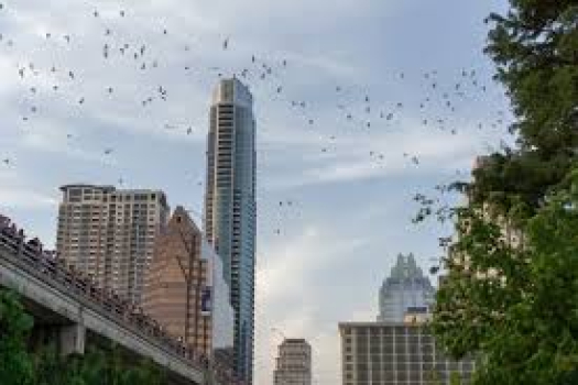 Modeling in Austin Texas